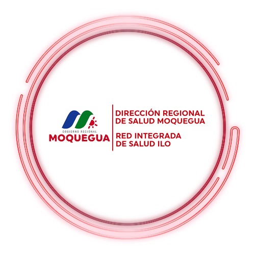 RED DE SALUD ILO
